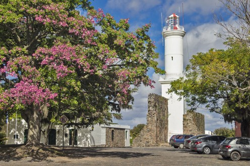 Colonia Day Tour Clássico