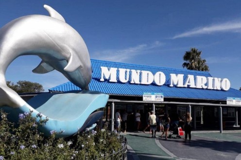 Mundo Marino